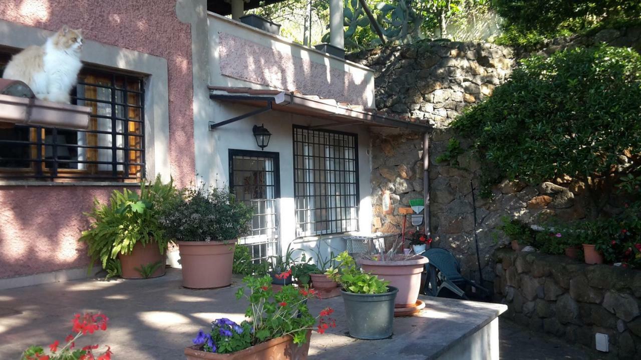 Bed&Breakfast "Fiorella" Sul Lago 카스텔간돌포 외부 사진
